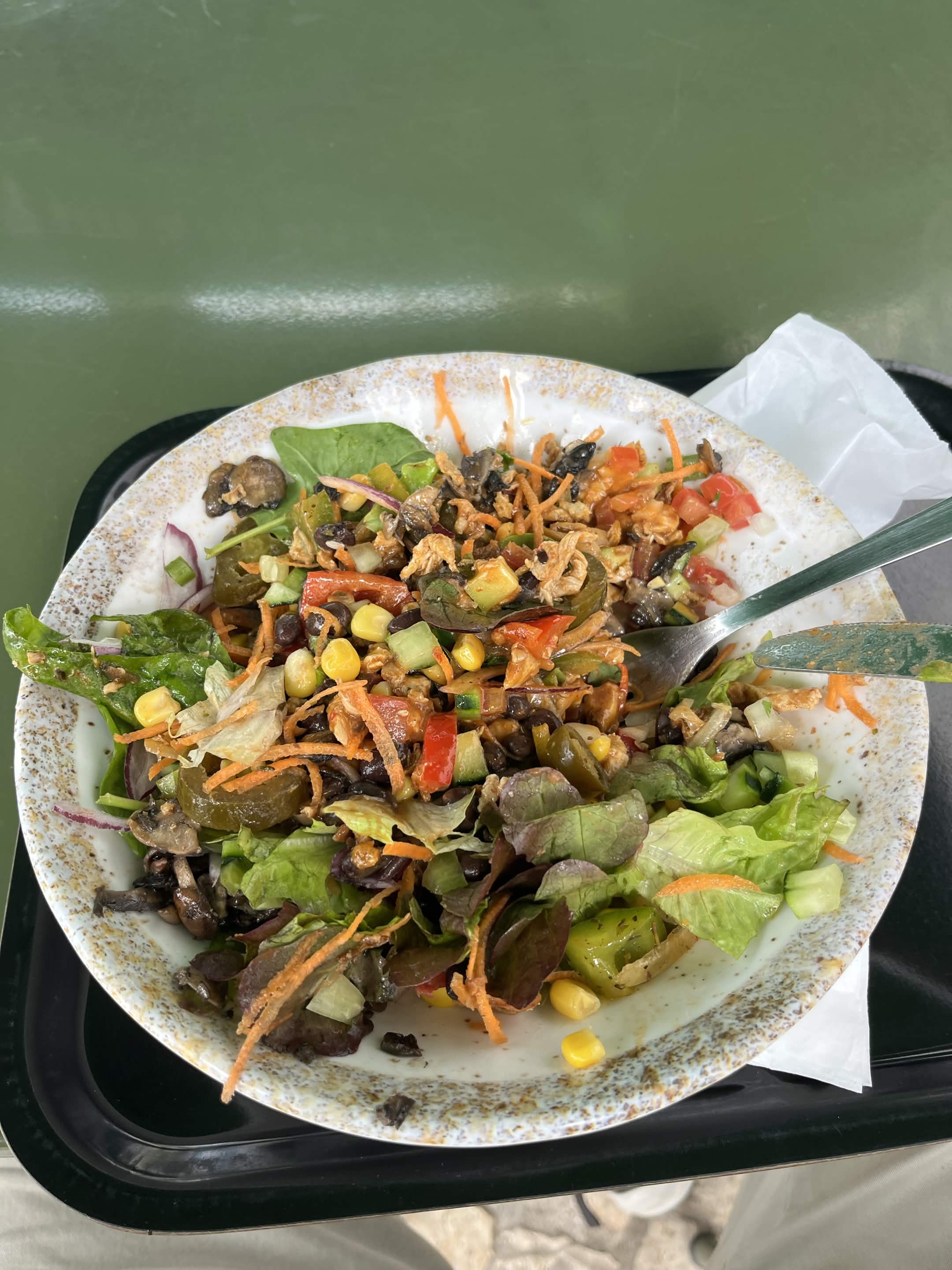meal 1 photo