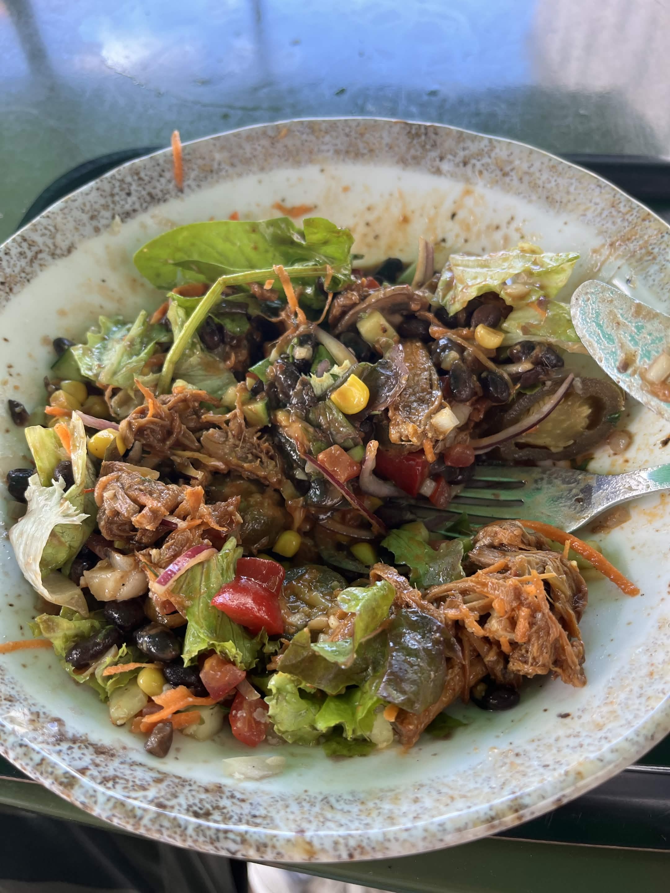 meal 1 photo