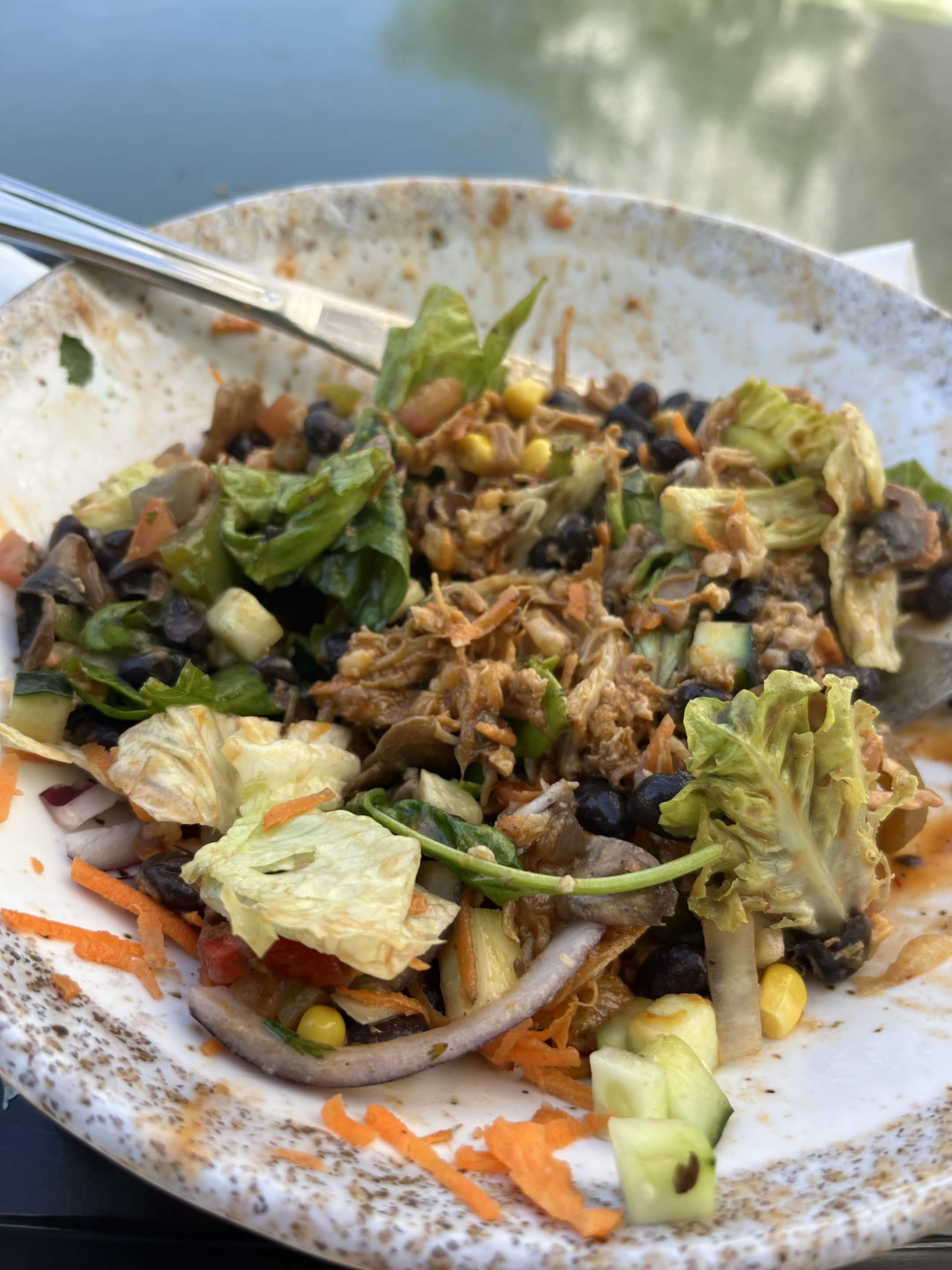 meal 1 photo