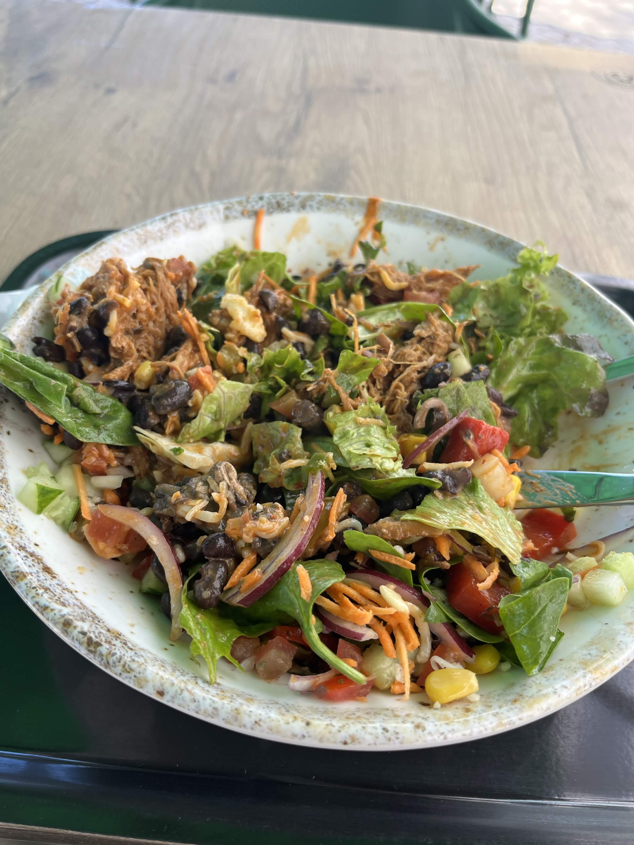 meal 2 photo